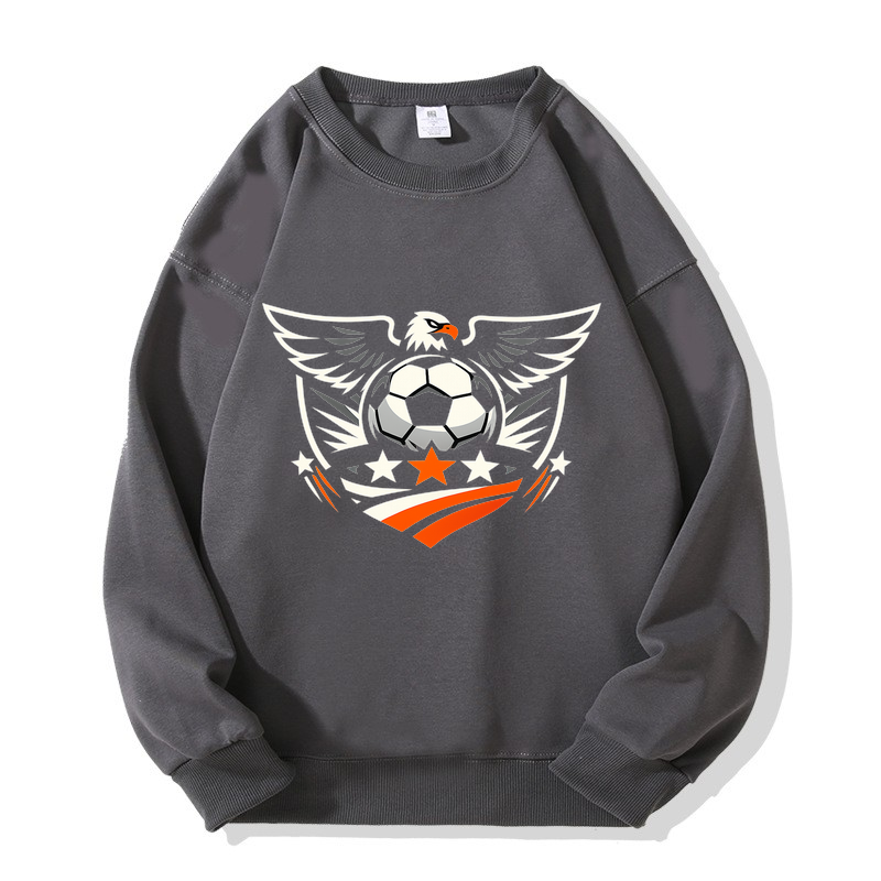 Sweatshirt Strahlendes Ehrenzeichen WM 2026 Edition