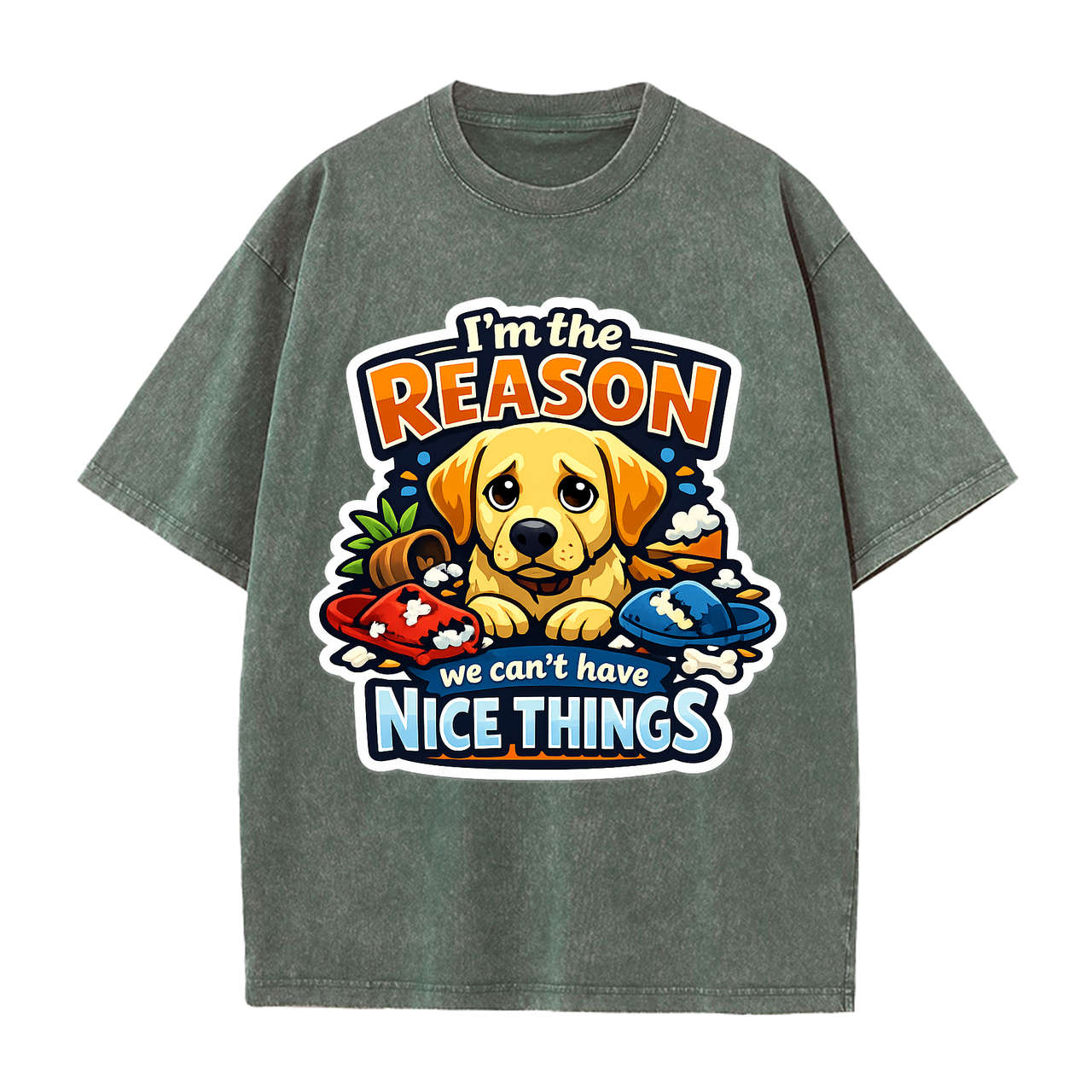 T-shirt I'm the Reason We Can't Have Nice Things Dog
